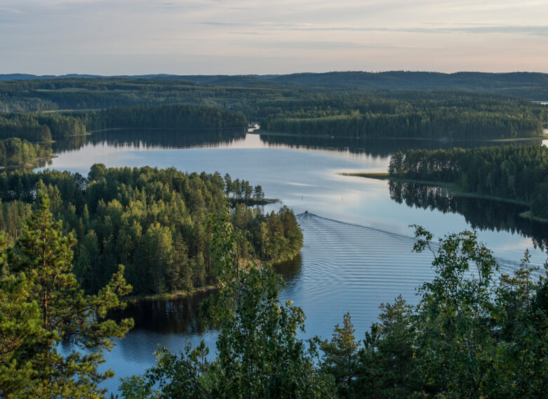 Suomalainen järvimaisema vihreine metsineen.
