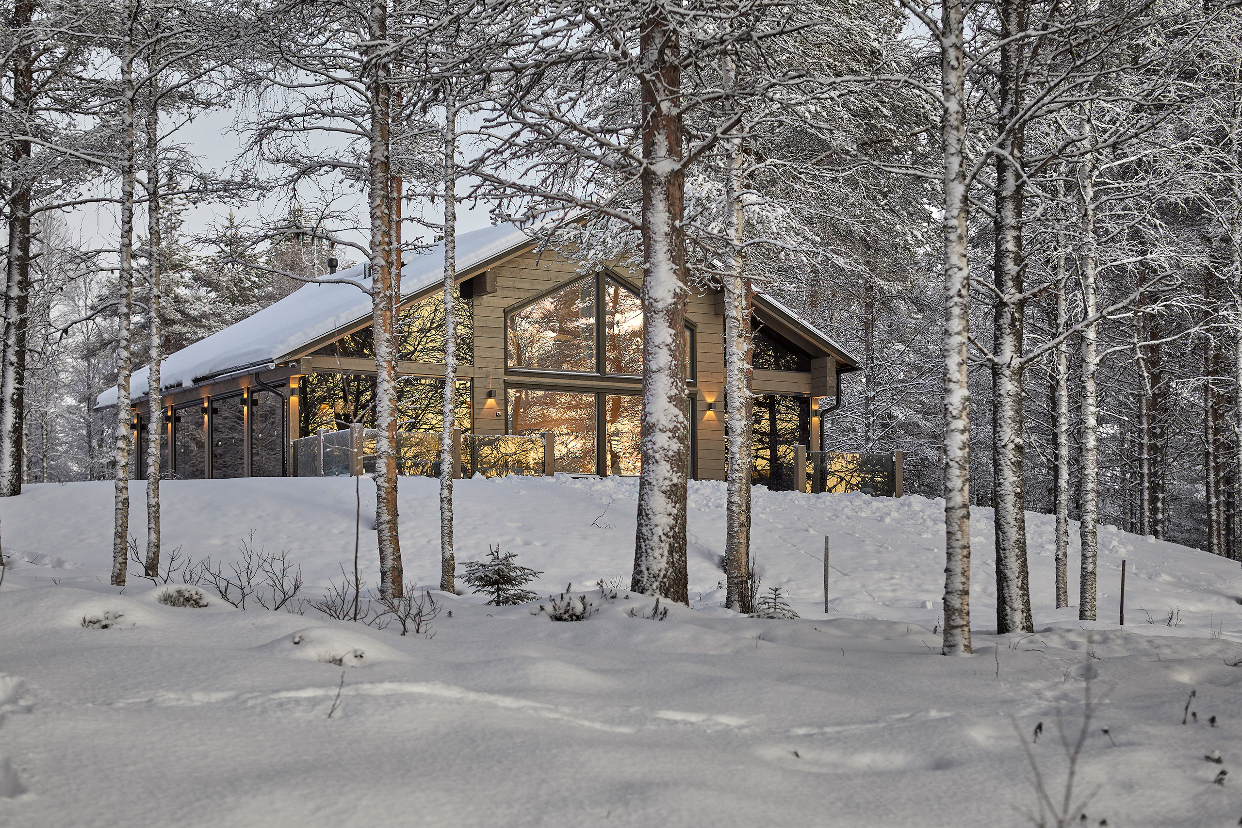 Lumisen mäntymetsän takaa näkyy moderni, harjakattoinen hirsihuvila.