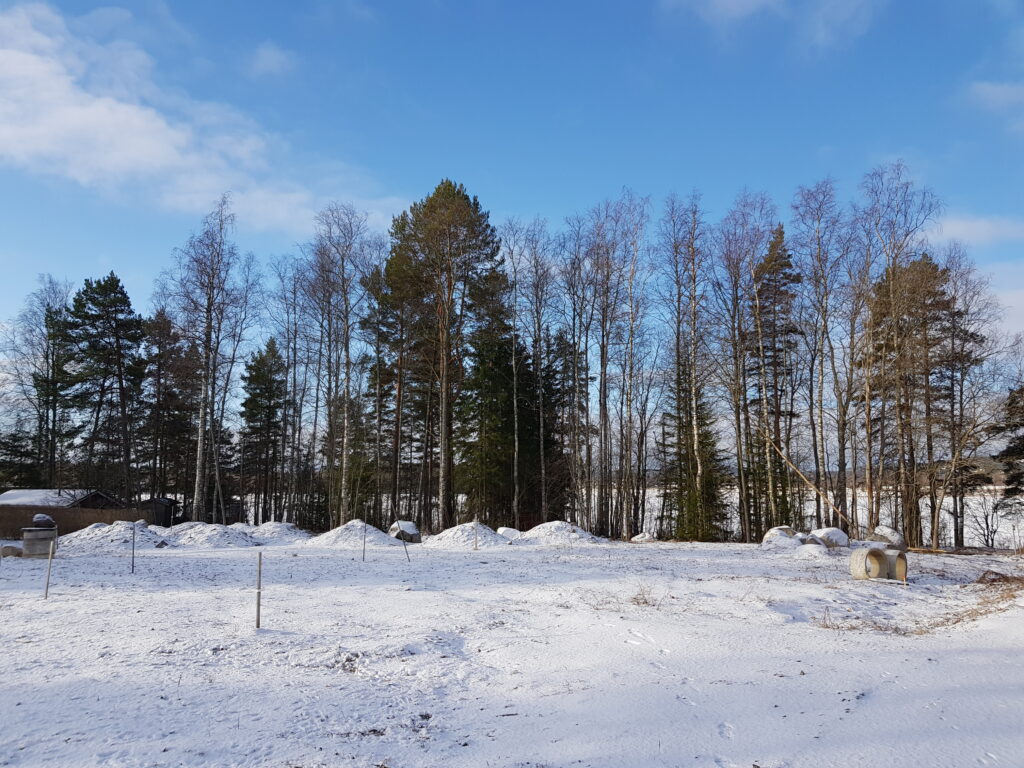 Luminen maisema tontista, jolle on nousemassa myöhemmin hirsitalo. Taustalla on vaalean sininen taivas.