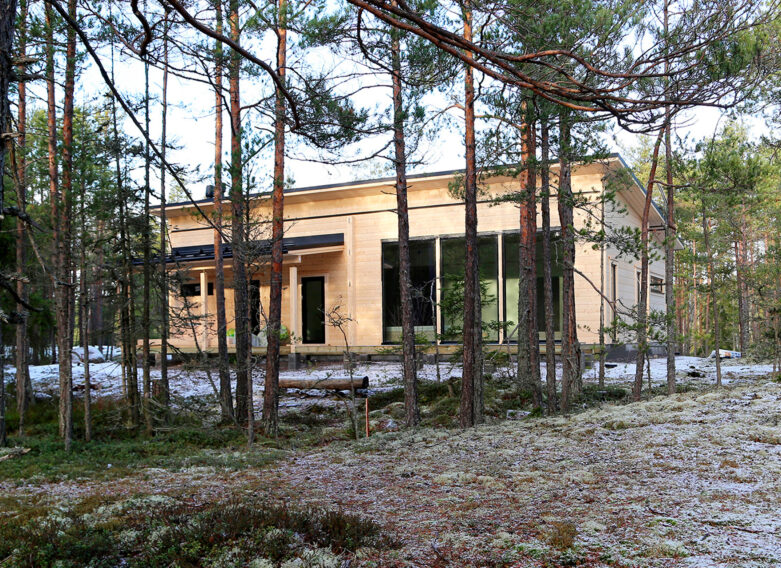 A modern log house under construction is visible behind the forest landscape. The logs are still untreated, so the house stands out clearly against the trees.