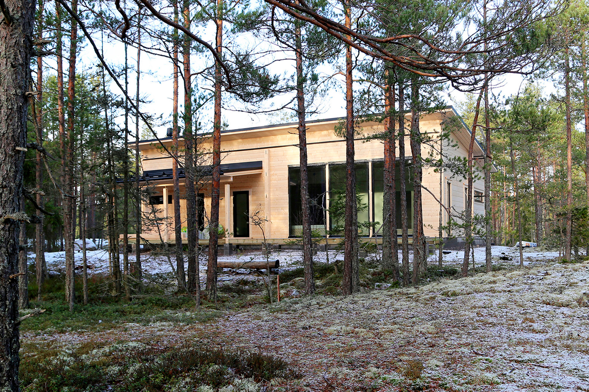 A modern log house under construction is visible behind the forest landscape. The logs are still untreated, so the house stands out clearly against the trees.