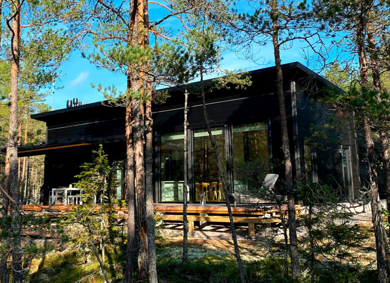 A black, modern log home with a pitched roof. There are many pine trees in front of the house.